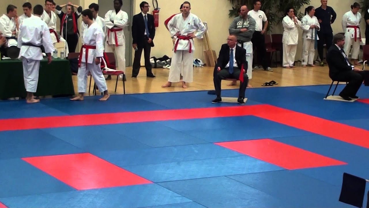 Coupe de France Tai Jitsu 2014 29