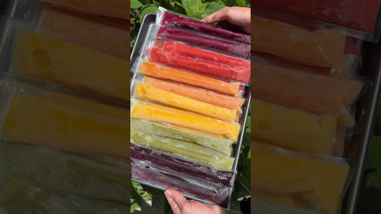 Homemade Freezer Pops made with REAL fruit 🍓 #recipe #shorts #easyrecipe