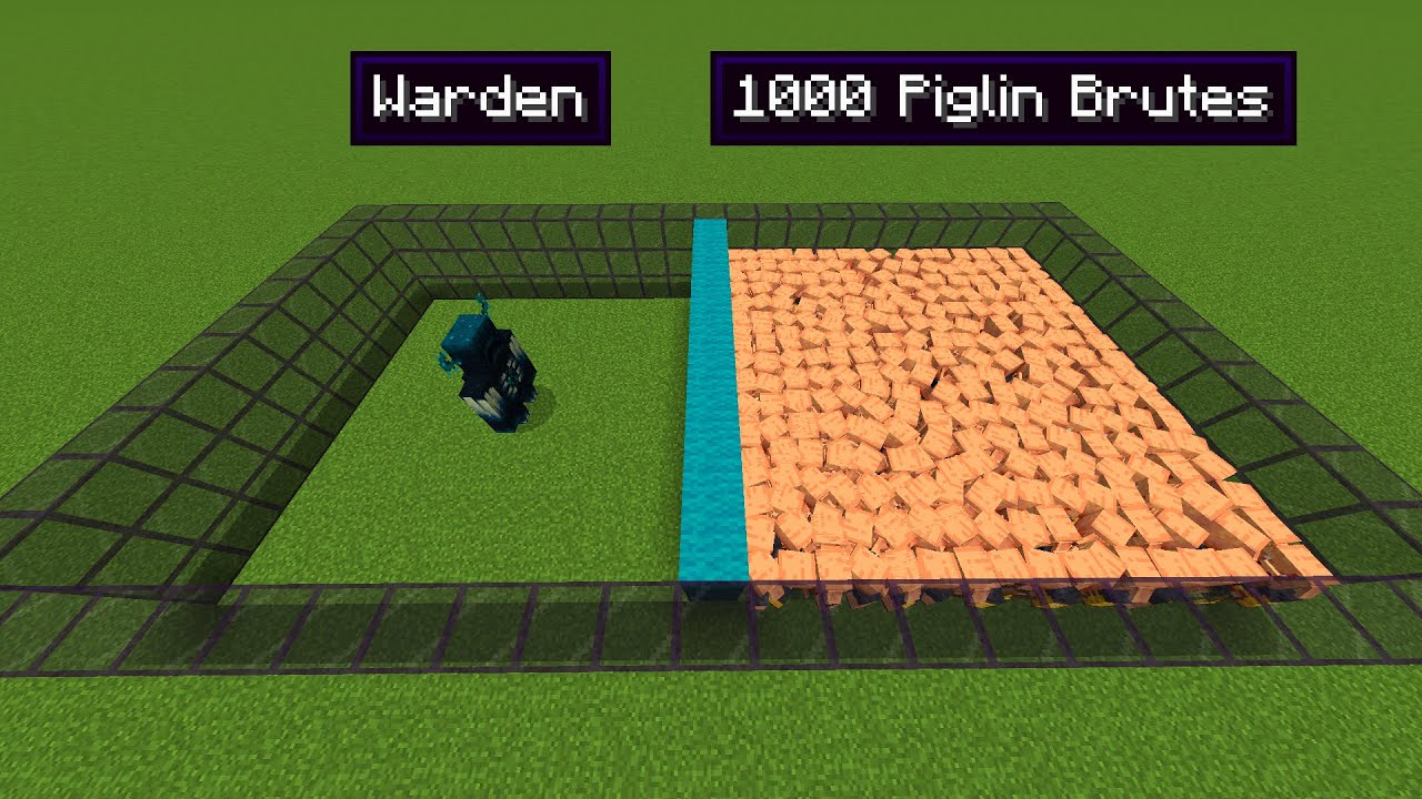1000 piglin brutes vs 1 warden