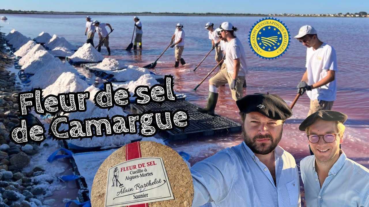 Fleur de sel pour bons vivants ❄️🔥🌊🥩🐟🥂 Le Saunier De Camargue