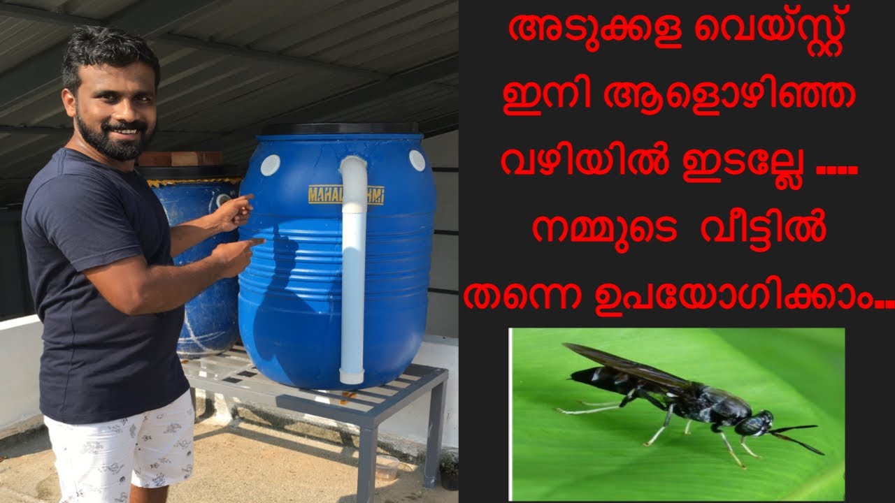 BSF (Black Soldier Fly) bin making