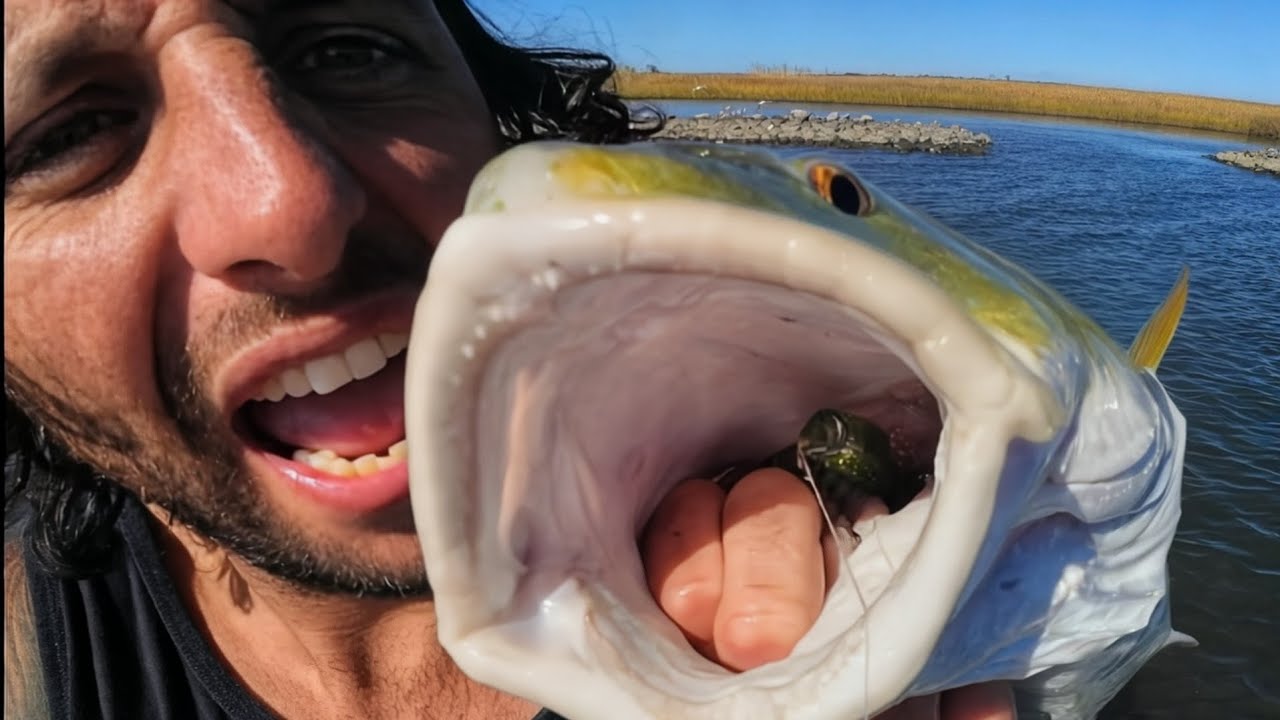 Catching big beautiful redfish on the Mississippi gulfcoast! 