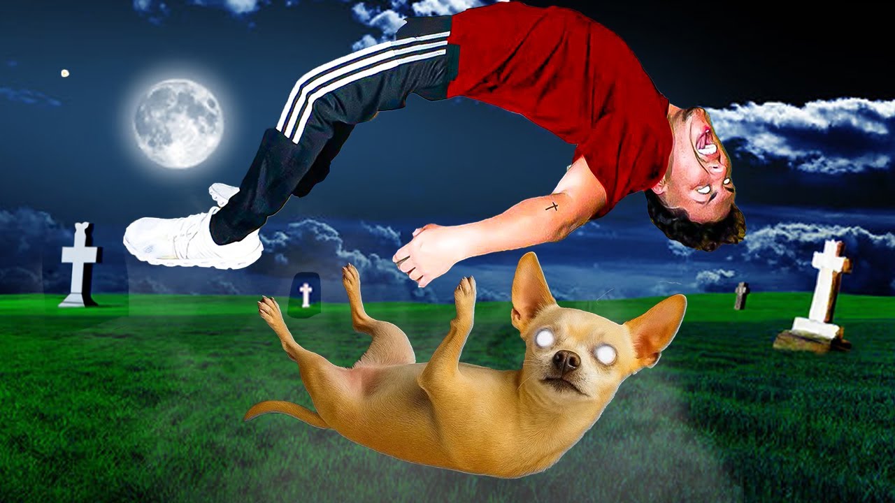 MY DOG AND HIM GOT POSSESSED!?