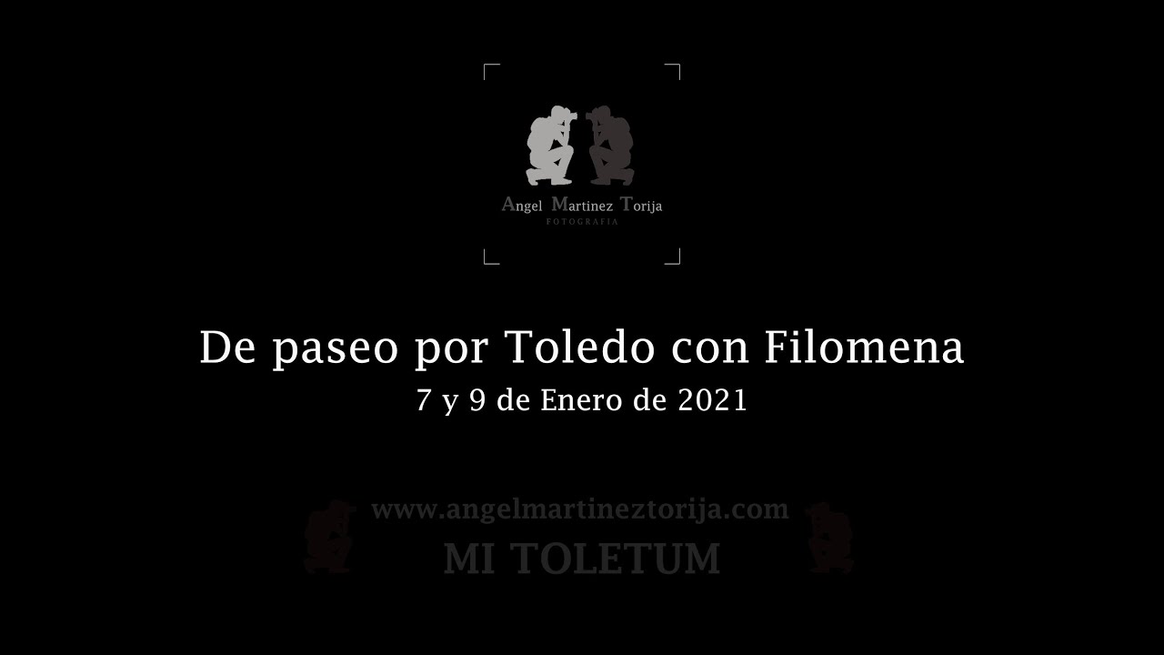 De paseo por Toledo con Filomena, 7 y 9 de Enero de 2021