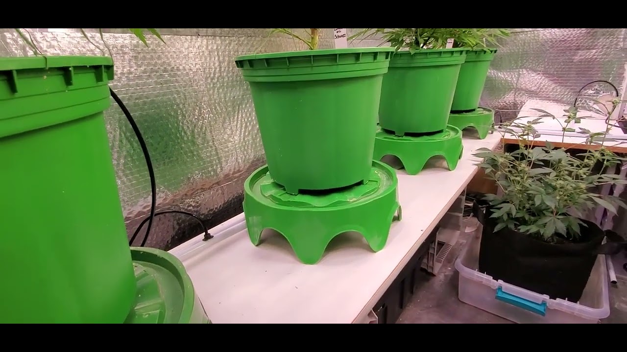 review of the floraflex 9 site platform setup 👌