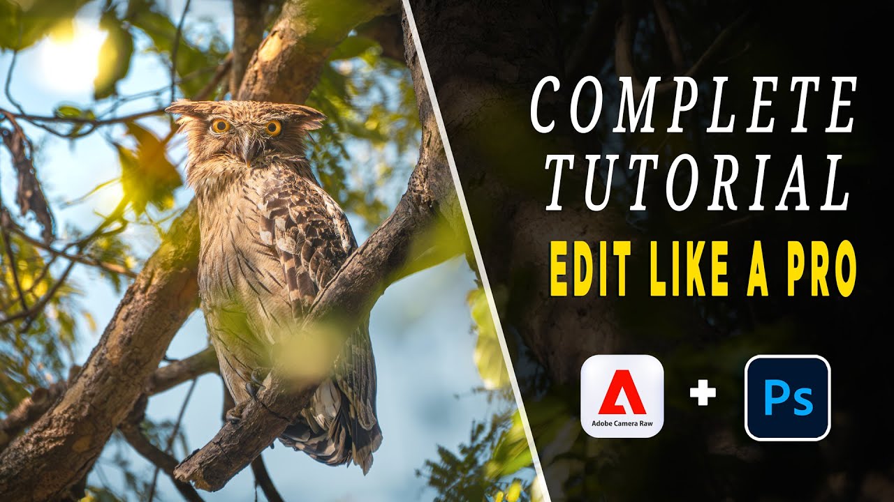 Bird Photography Editing in Photoshop & Camera Raw | Full Workflow