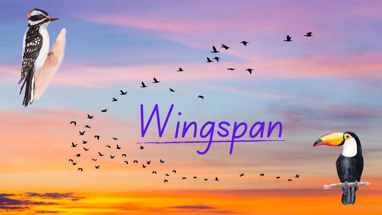 Wingspan Episode 2: First Real Game