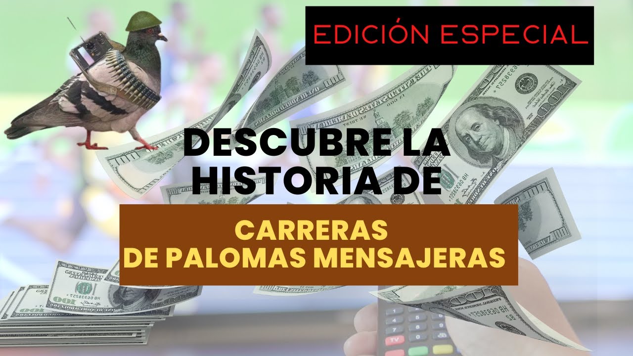 Historia de las carreras con más premios del mundo, competiendo puedes ser millonario en Taiwan