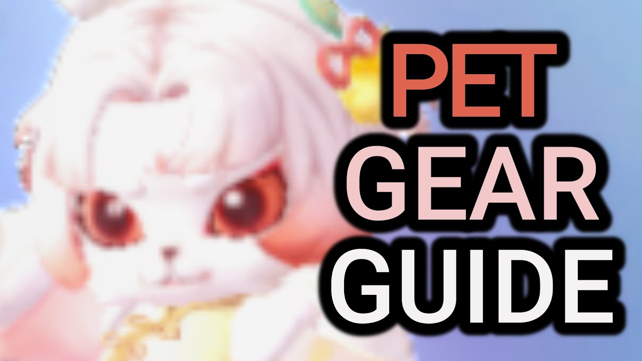Equipamentos de Pets - Guia | Ragnarok Origin [ROO]