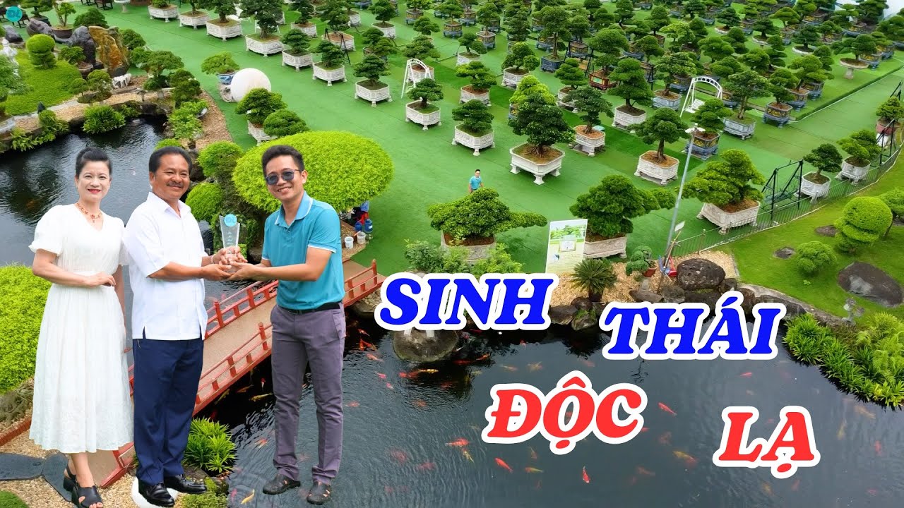 Đại gia chi cả núi tiền để sở hữu những cây cảnh độc đáo nhất Việt Nam - ĐỘC LẠ BÌNH DƯƠNG