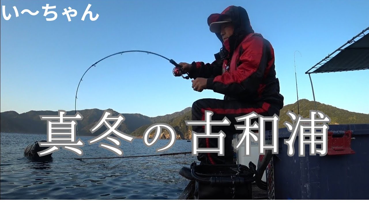 極寒！真冬の古和浦の筏からマダイを狙ってみた！三重県南伊勢町古和浦　誠久丸
