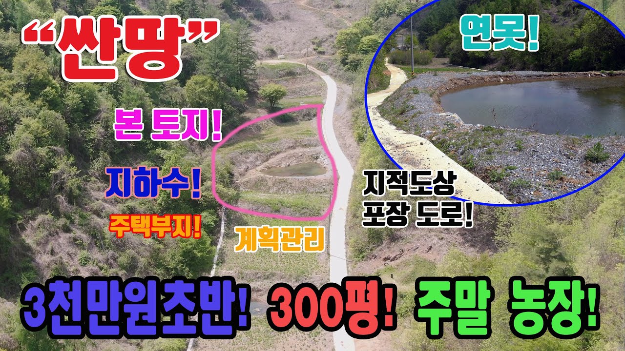 급매 싼땅 3천만원초반 991㎡ 약 300평 지하수 개발 완료 도로 구거정비 주말농장 계획관리 주택부지 연못 매포읍 주변 북단양ic 주변 충북 단양군 매포읍 도곡리 토지 매매