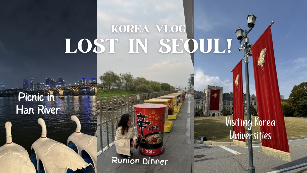 Korea Vlog part 2 | Han River, Reunion Dinner, Korea Universities