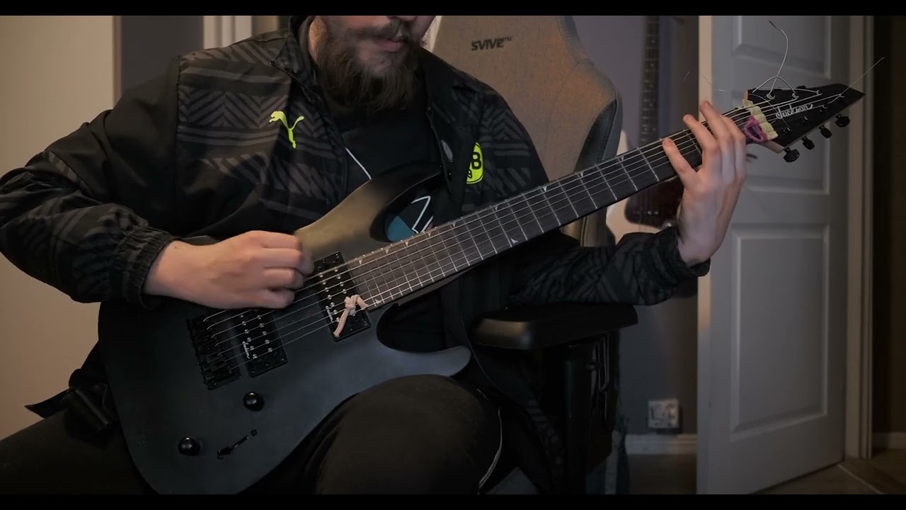 Meshuggah - New Millennium Cyanide Christ (8 String Cover)
