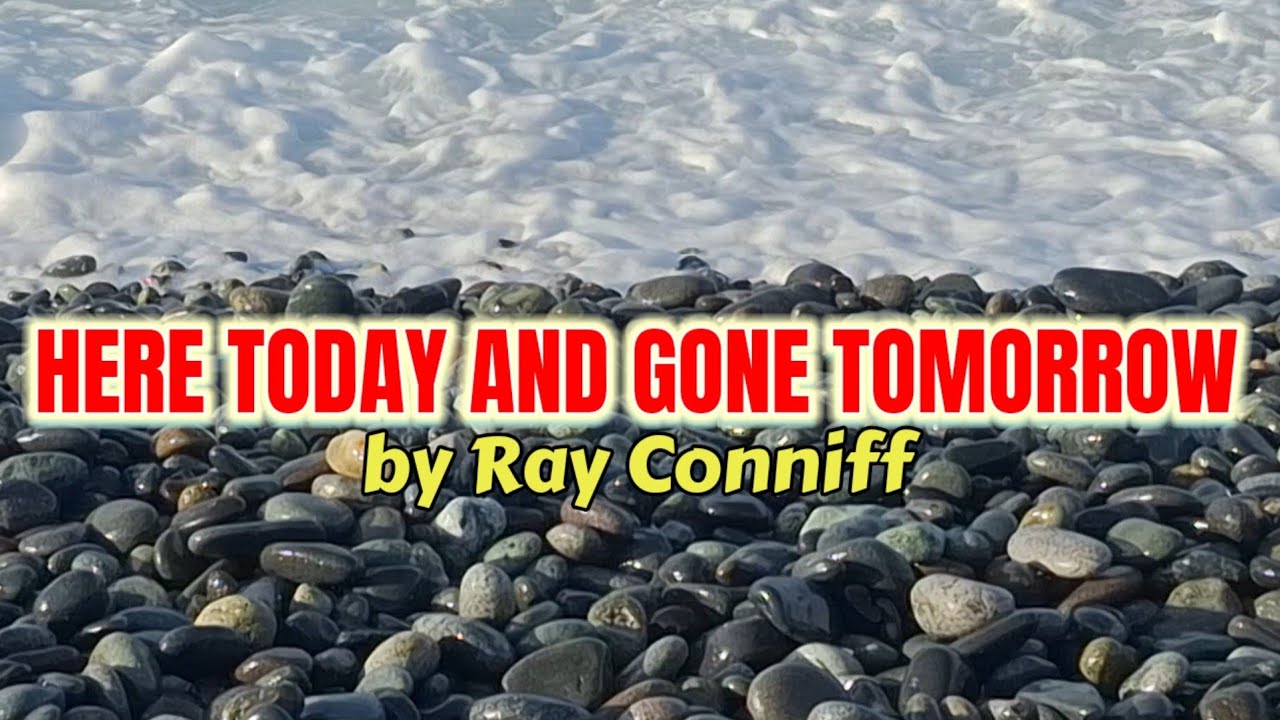 HERE TODAY AND GONE TOMORROW - Ray Conniff (Acoustic Lyrics) Cover by Selina & Elexir