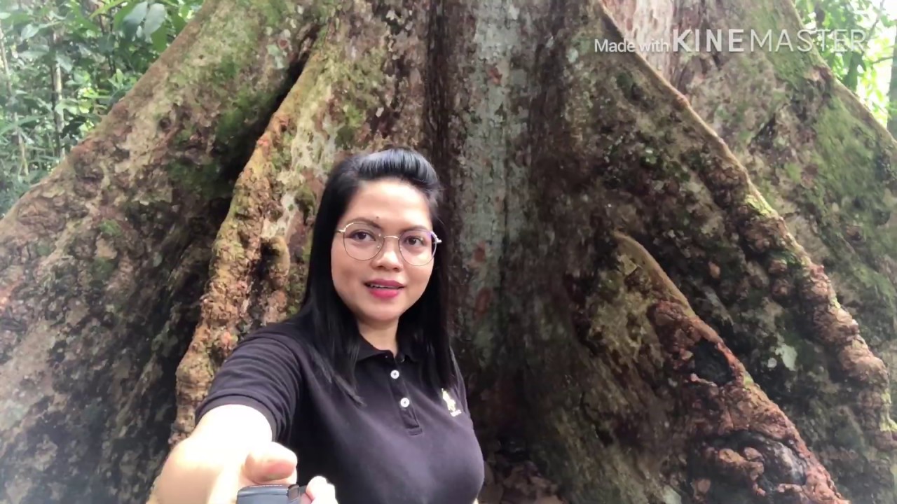 MIRI || GUA NIAH || NIAH CAVE