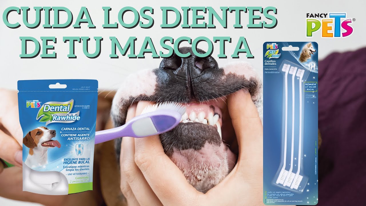 Linea dental | Fancy Pets