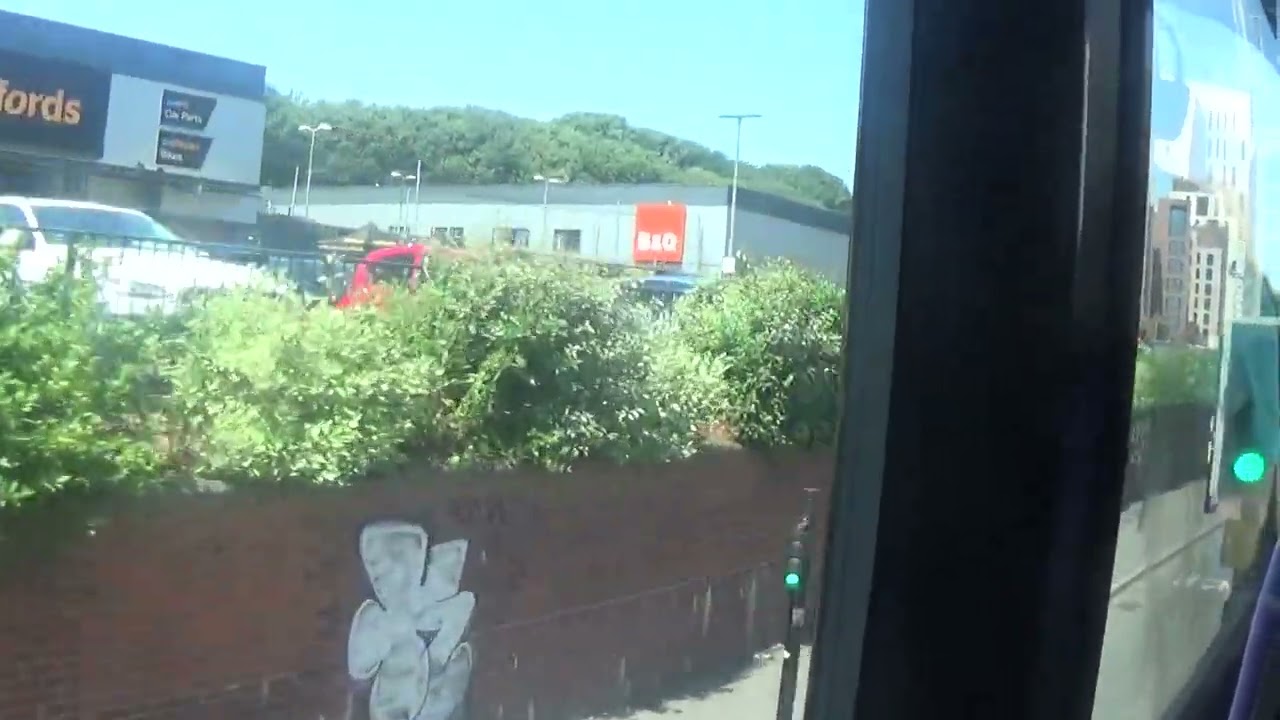Foxy having a ride on Brighton and Hove bus route 28 heading towards Broyle 25/06/2023 pt1