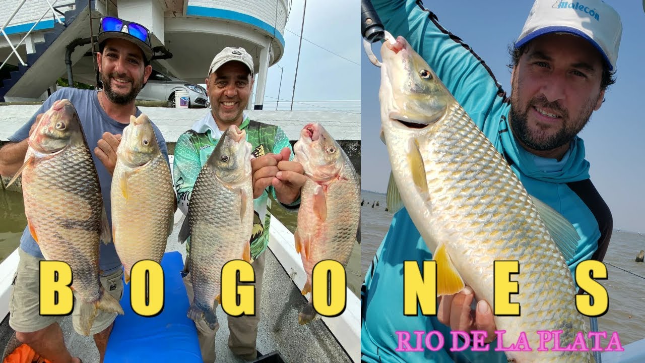 BOGAS DEL RIO DE LA PLATA - pesca y cocina - Malecones - Berisso