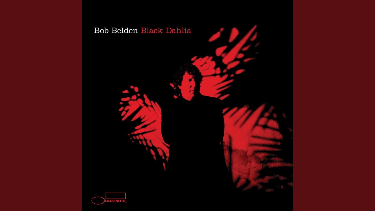 Black Dahlia
