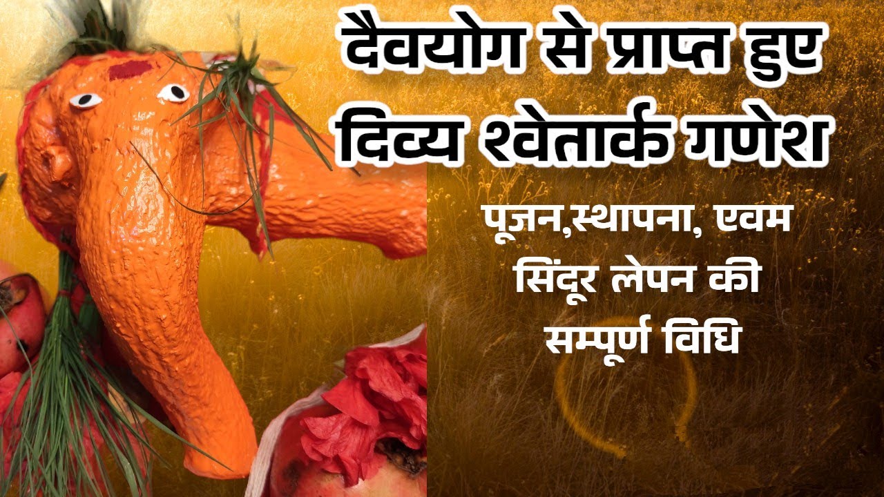दैवयोग से प्राप्त हुए दुर्लभ श्वेतार्क गणेश। Shvetark Ganesh #गणेश #गणपति