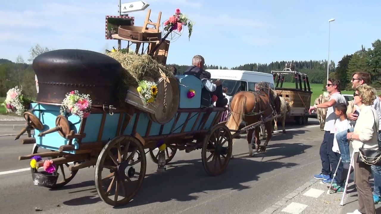 Désalpe, ils sont arrivés nombreux aujourd'hui les troupeaux depuis l'Intyamon en Gruyère (Suisse)