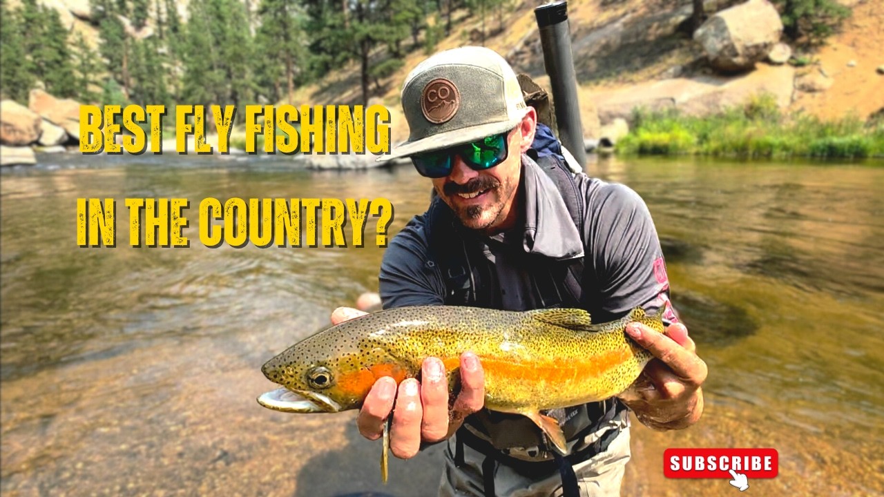 Non-Stop Fishing Action at Cheesman Canyon - DIY Fly Fishing on Colorado's South Platte River