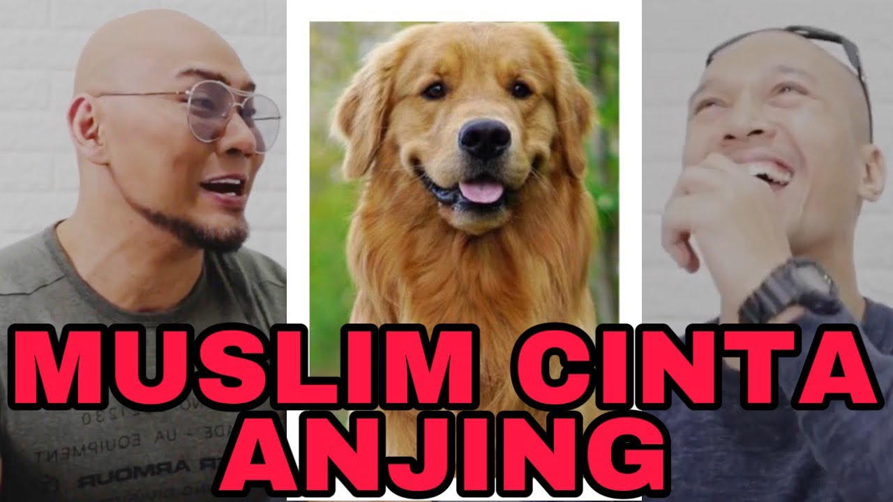 BOLEHKAH ORG ISLAM MEMELIHARA ANJING?  (The Golden Family)