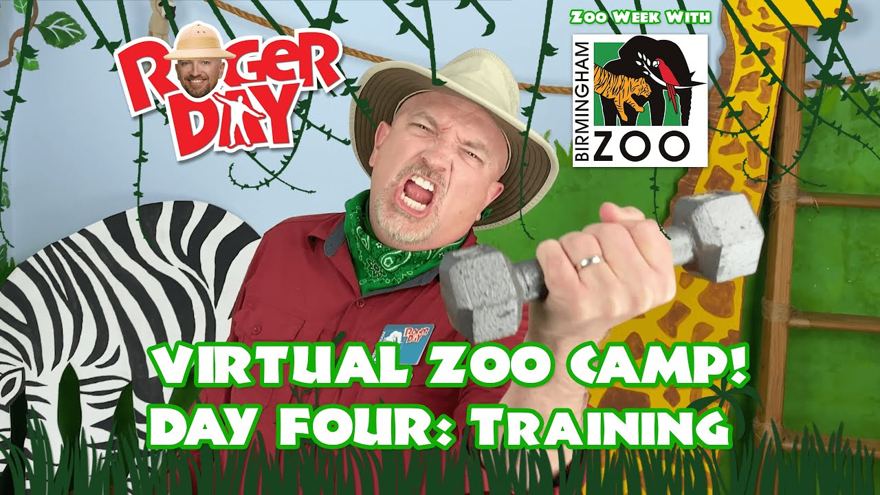Training - Virtual Zoo Camp Day Four