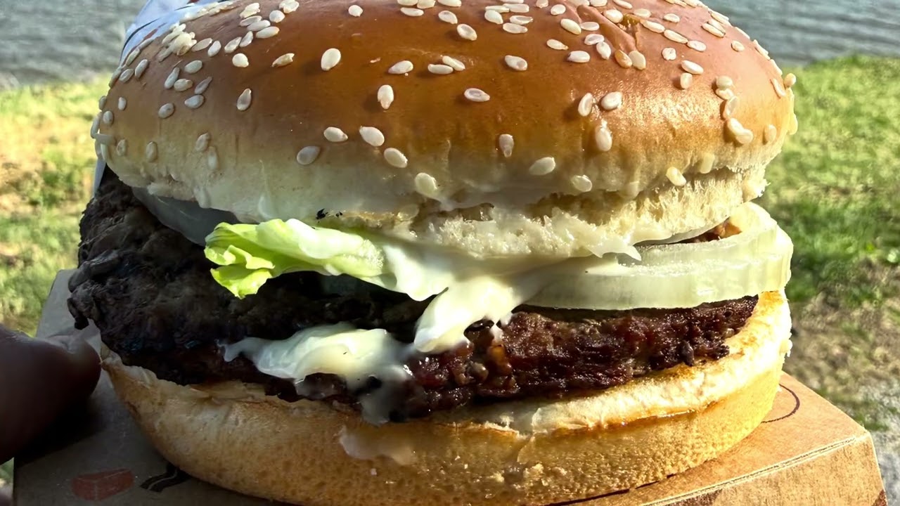 Big Arch vs Whopper ! One Bite Burger Reviews!! 
