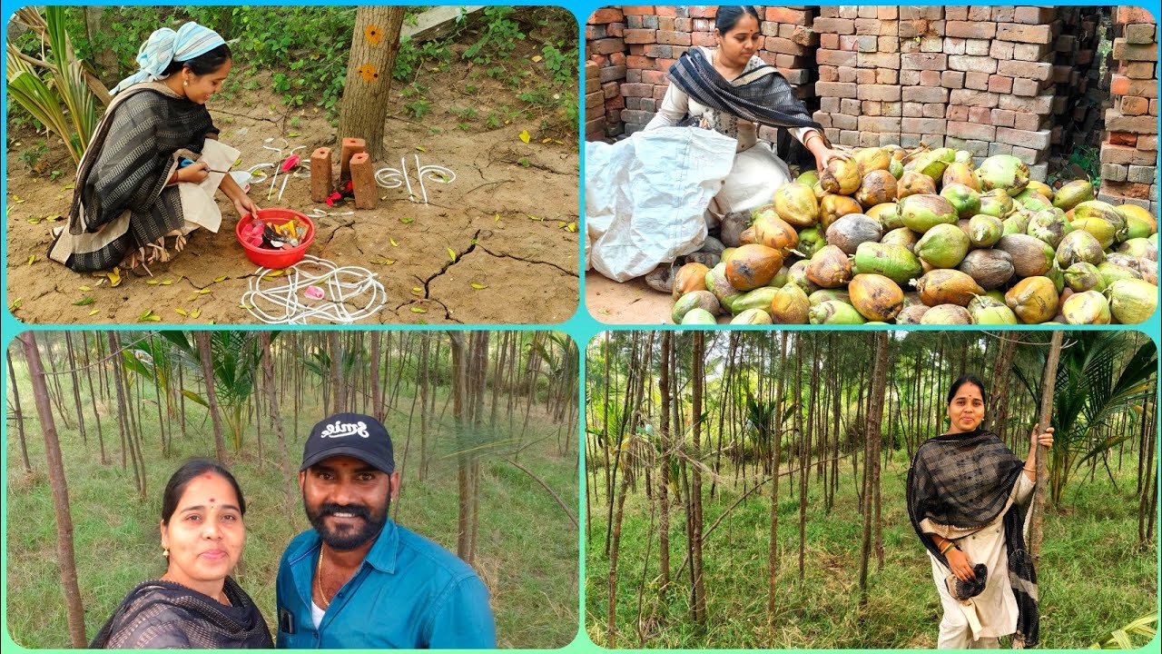 💁‍♀️பொங்கலுக்கு விறகு உடைக்க கிளம்பிட்டோம்🤩🗓️Jan8,2026 #home#vlog#tamil