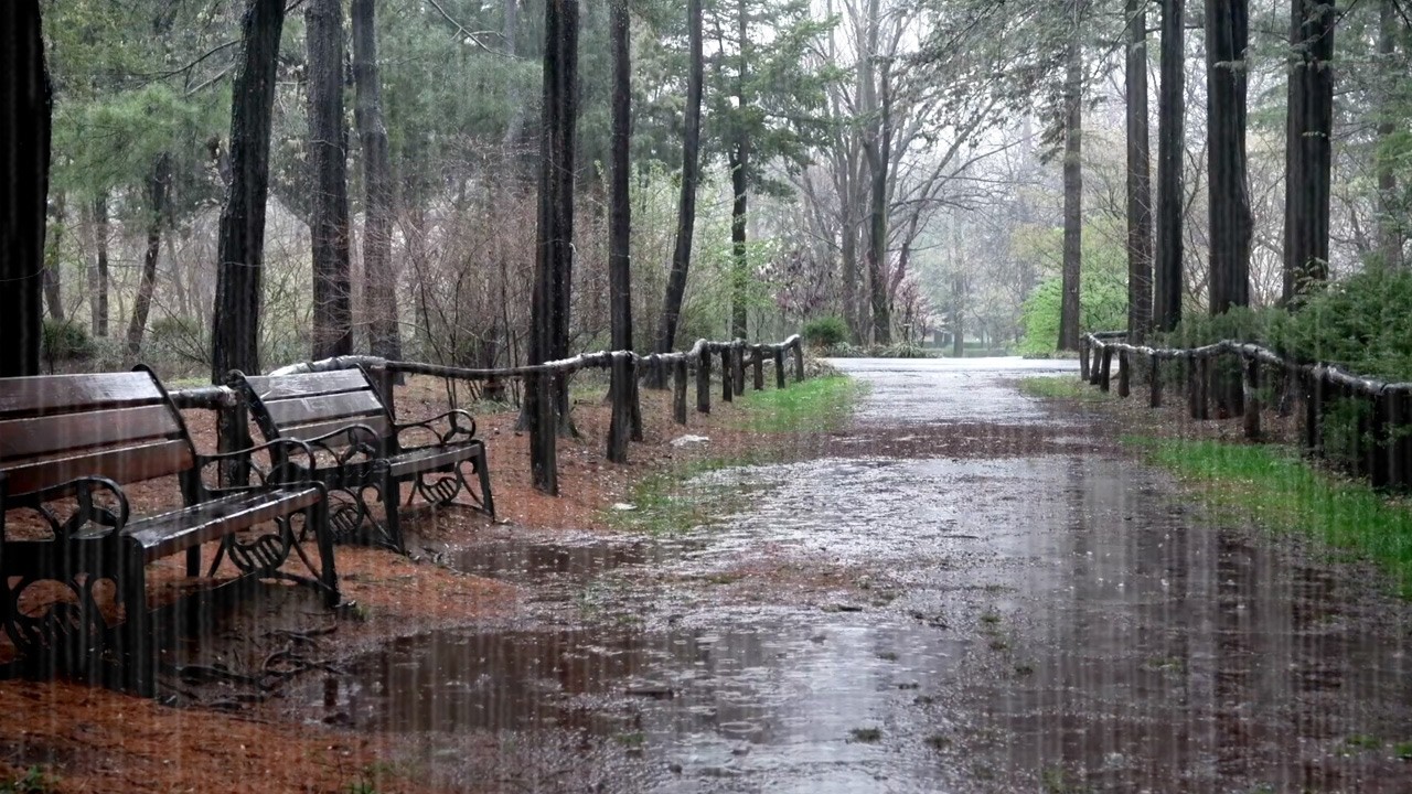 Звуки дождя, которые помогут вам заснуть крепким сном — успокаивающий дождь для борьбы с бессонницей