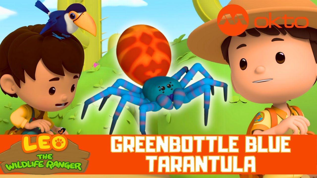JUNIOR RANGERS Rescue BLUE TARANTULA 🕷️🌟🦸‍♂️| Leo the Wildlife Ranger Spinoff S6E17 | @mediacorpokto