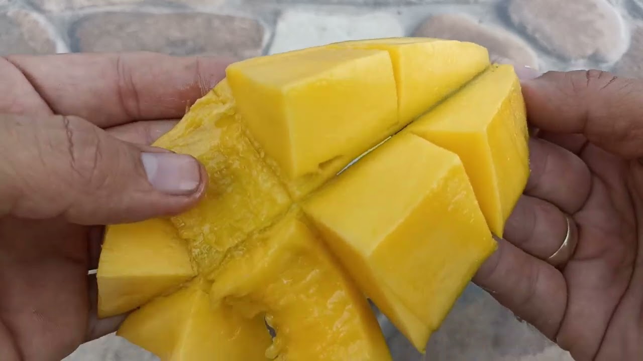 Mango 