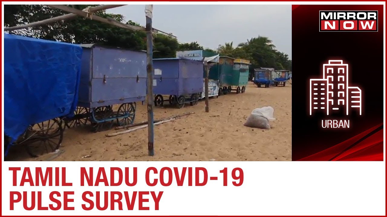 Tamil Nadu COVID-19 pulse survey claims 53% 'loss of livelihood in households