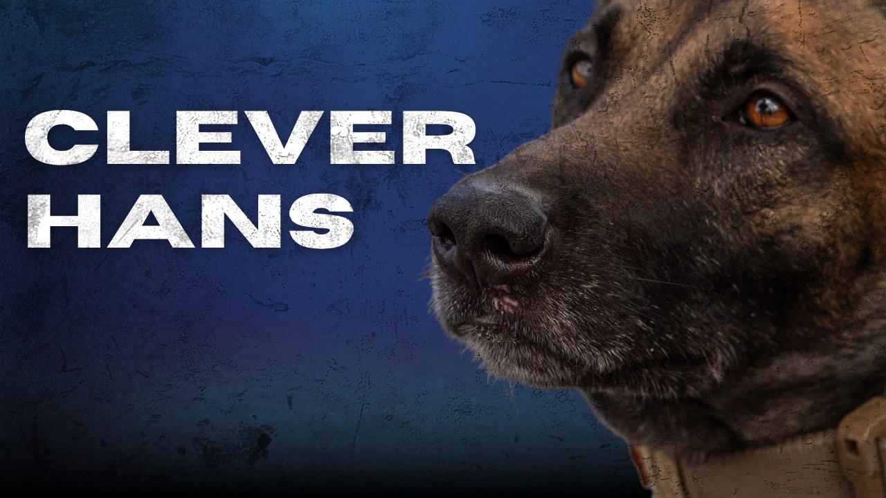 How to Structure Detection Training: Clear Search, Single Blind, Double Blind