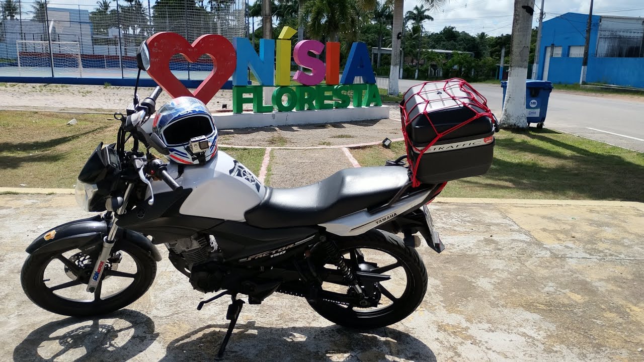 CHEGAMOS EM NÍSIA FLORESTA, ÁRVORE MILENAR 