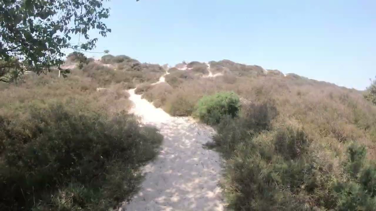 A video transect through Studland Sand Dunes