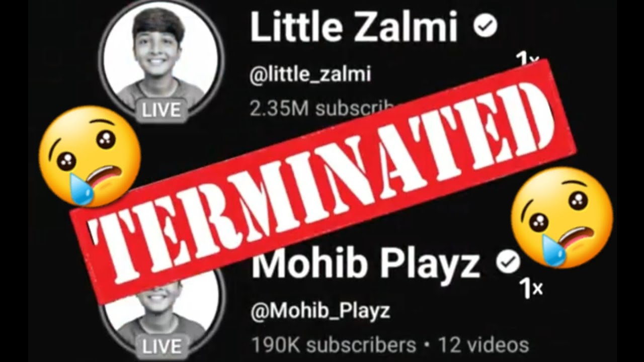 My YouTube Channel Got Hacked...I Need Your Support 🥺 #Hacked #littlezalmi