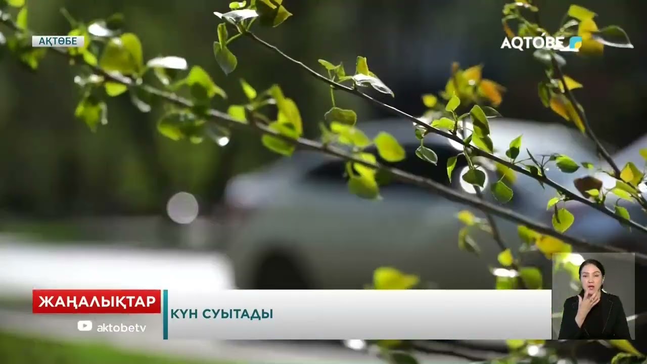 Күн суытады