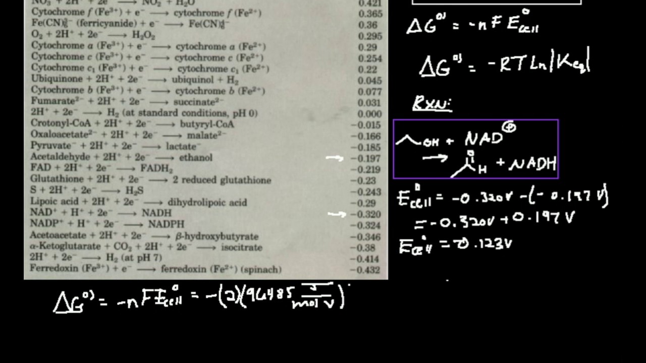 Biochemical Cell Potentials: Example 1