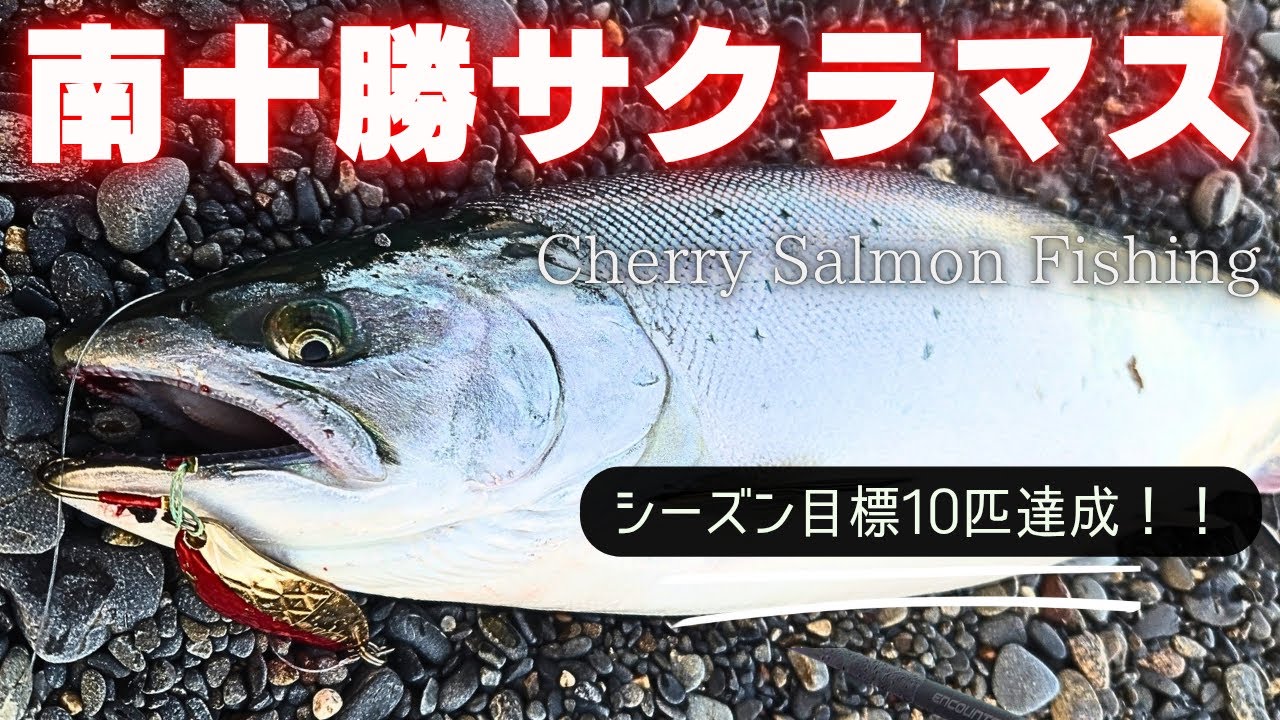 [Cherry Salmon Challenge] Как собрать приманку для ловли в сумерках для начинающих!