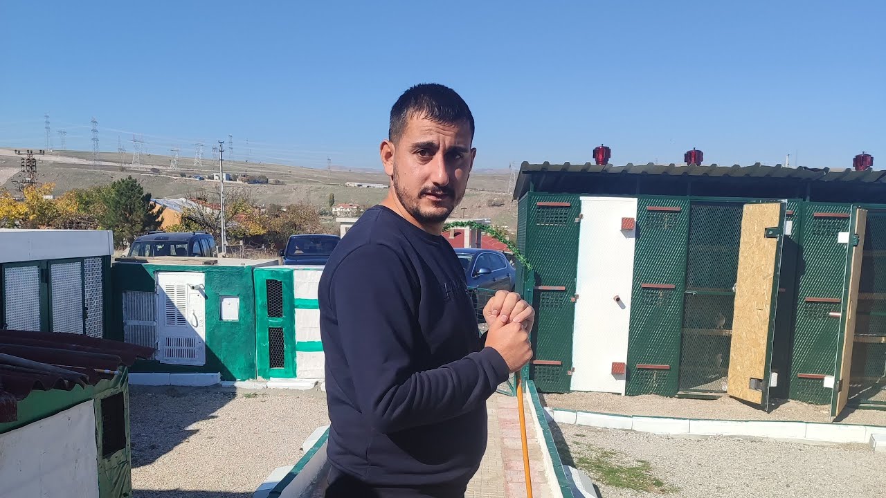 ankara kral👑 kupasına dayı levent çiçek, baki ünal kuş ucuruyor.