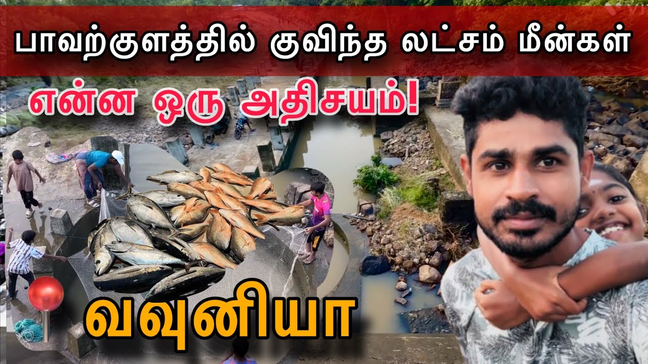 வவுனியா புயலின் பின் நடந்த அதிசயம் ! பாவற்குளத்திக்கு படை எடுக்கும் மக்கள் #vavuniya /#vavuniyatown 