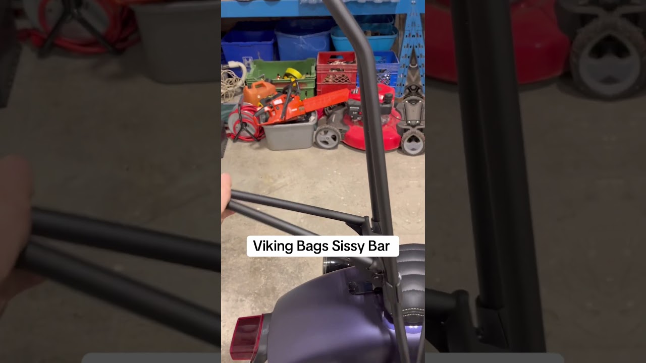 Added the Viking Bags Sissy Bar to my 2025 Harley Davidson Street Bob #harleydavidson #hd #streetbob