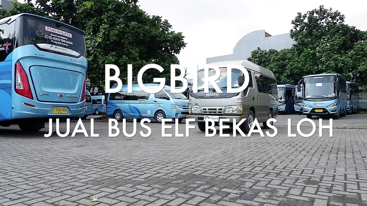 Jual Bus Elf Bekas ex Bigbird