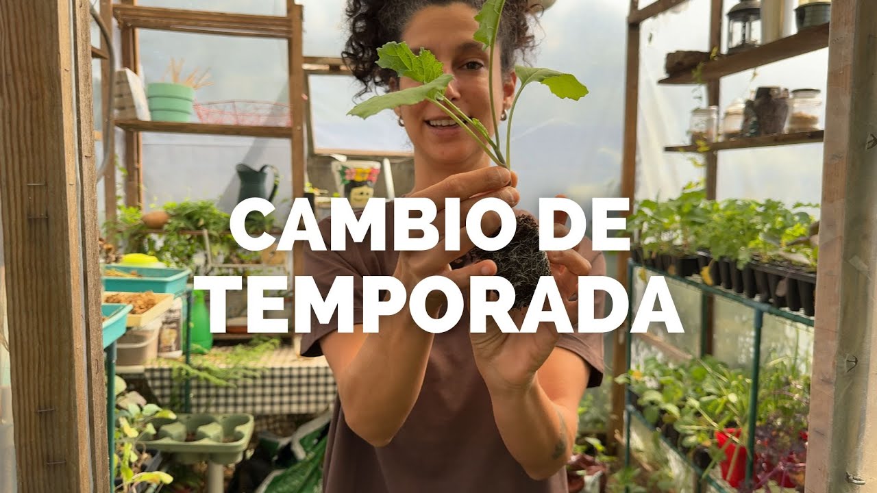CAMBIO TEMPORADA! Bienvenidos cultivos de Otoño Invierno!