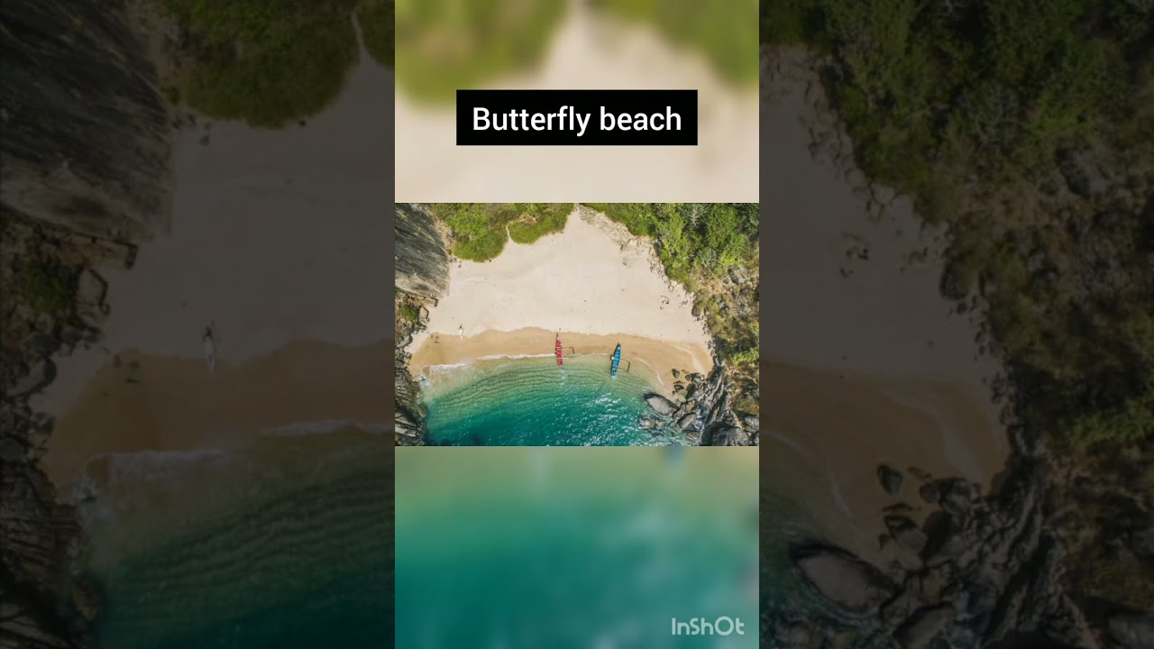 top 5 beaches in goa