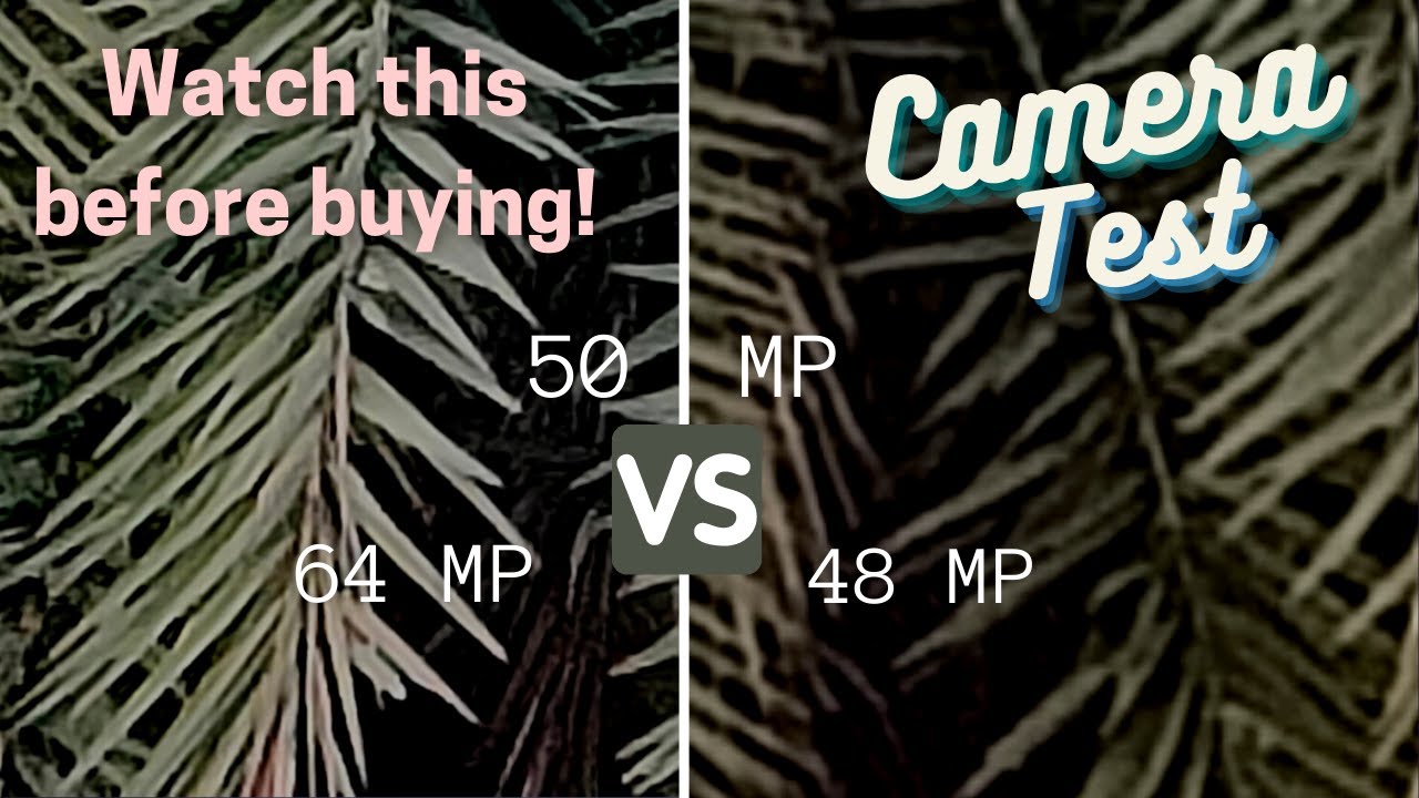 📸 48 MP vs 50 MP vs 64 MP 🔥 | Ultimate camera test | TechnoDactyl