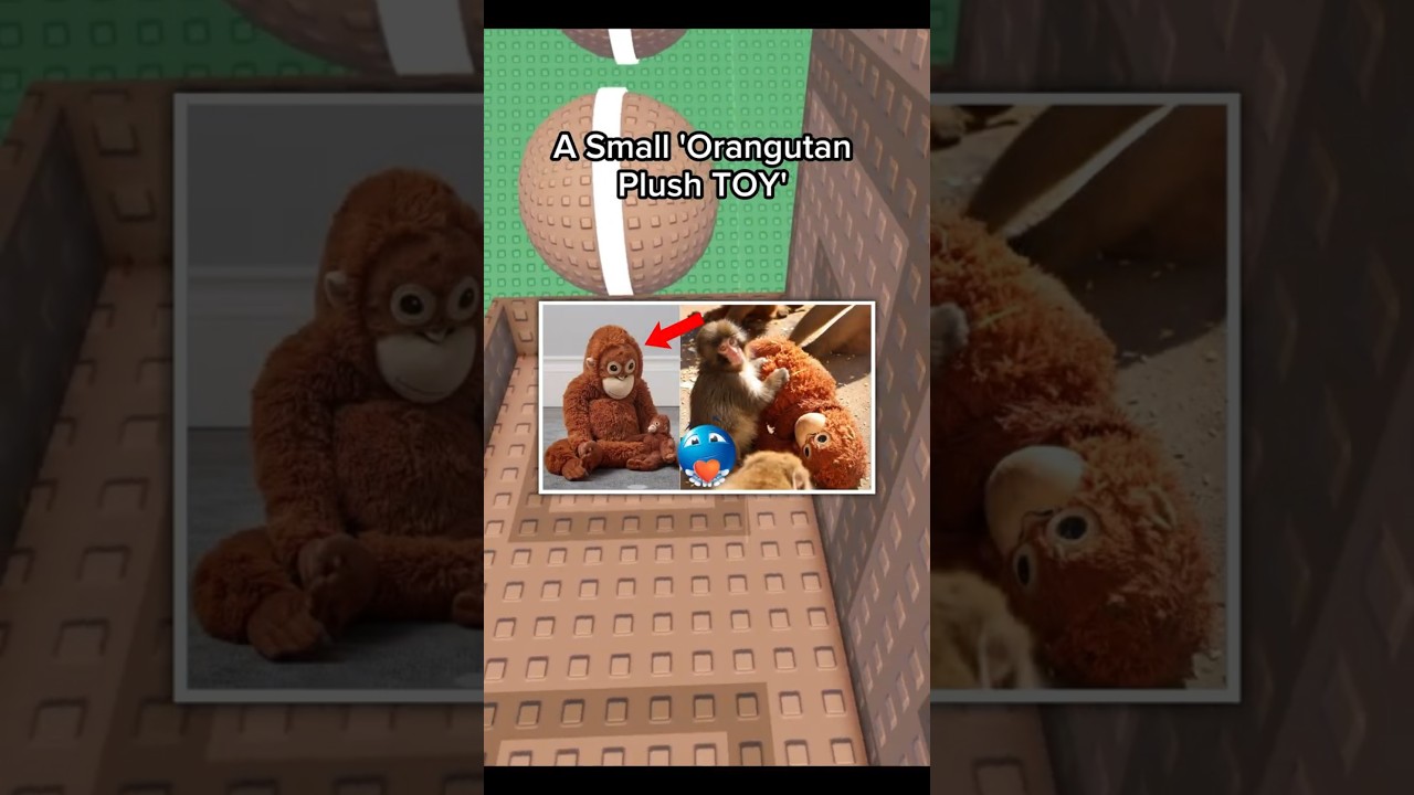 Heartbreaking Reality of This Cute Monkey 😭🙏 #roblox #shorts #rblx #robloxrant #relatable #fyp
